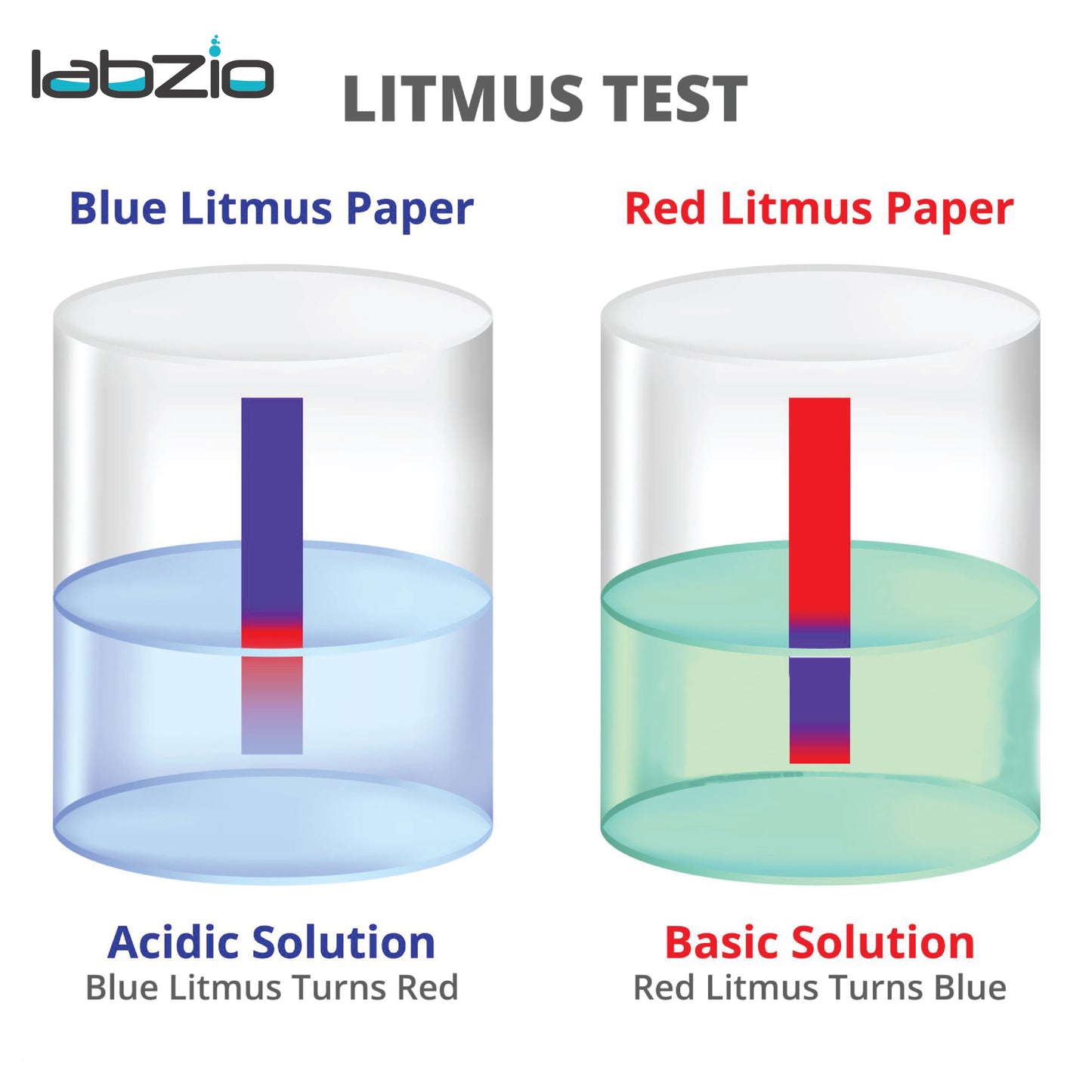 EISCO Red Litmus Paper Strips – 200 pH Test Strips for Acid & Base Testing | Lab-Grade pH Indicator for Science Lab, Classroom, Water Testing, Chemistry Experiments, Skincare, Soil & Home Use