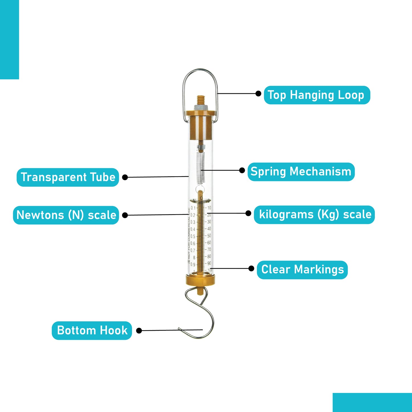 Newton Force Meter/Spring balance/Dynamometer with Dual Scale labelled (100g)