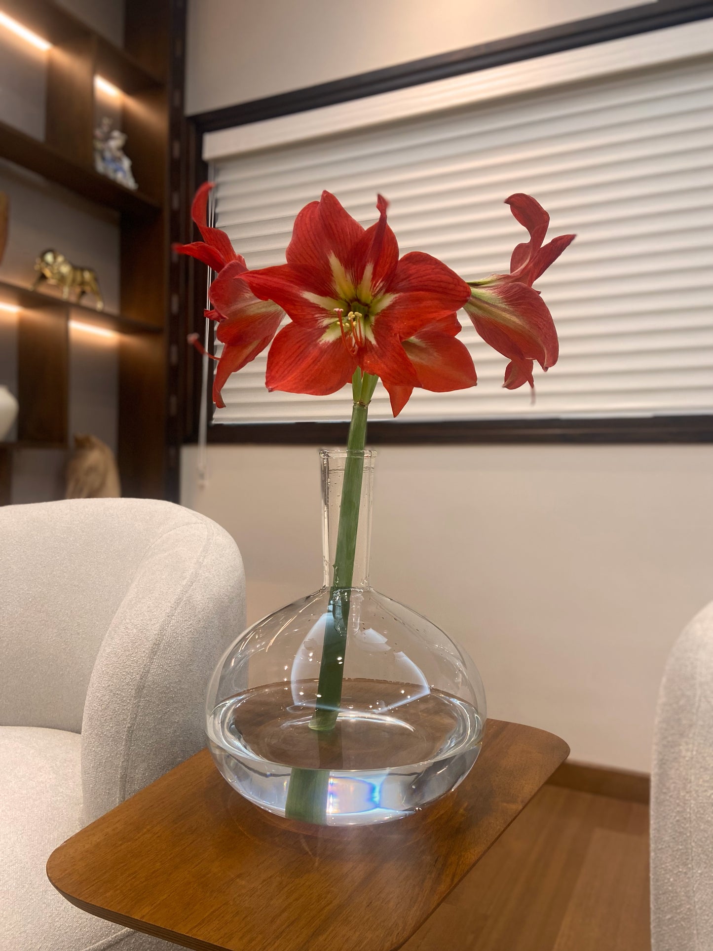 Labzio Home Amber Glass Vase - 30cm Tall Decorative Vase for Living Room, 24.5cm Wide Modern Home Decor | Perfect for Dried Flowers, Pampas Grass | Stylish Round Base, Slim Neck Design