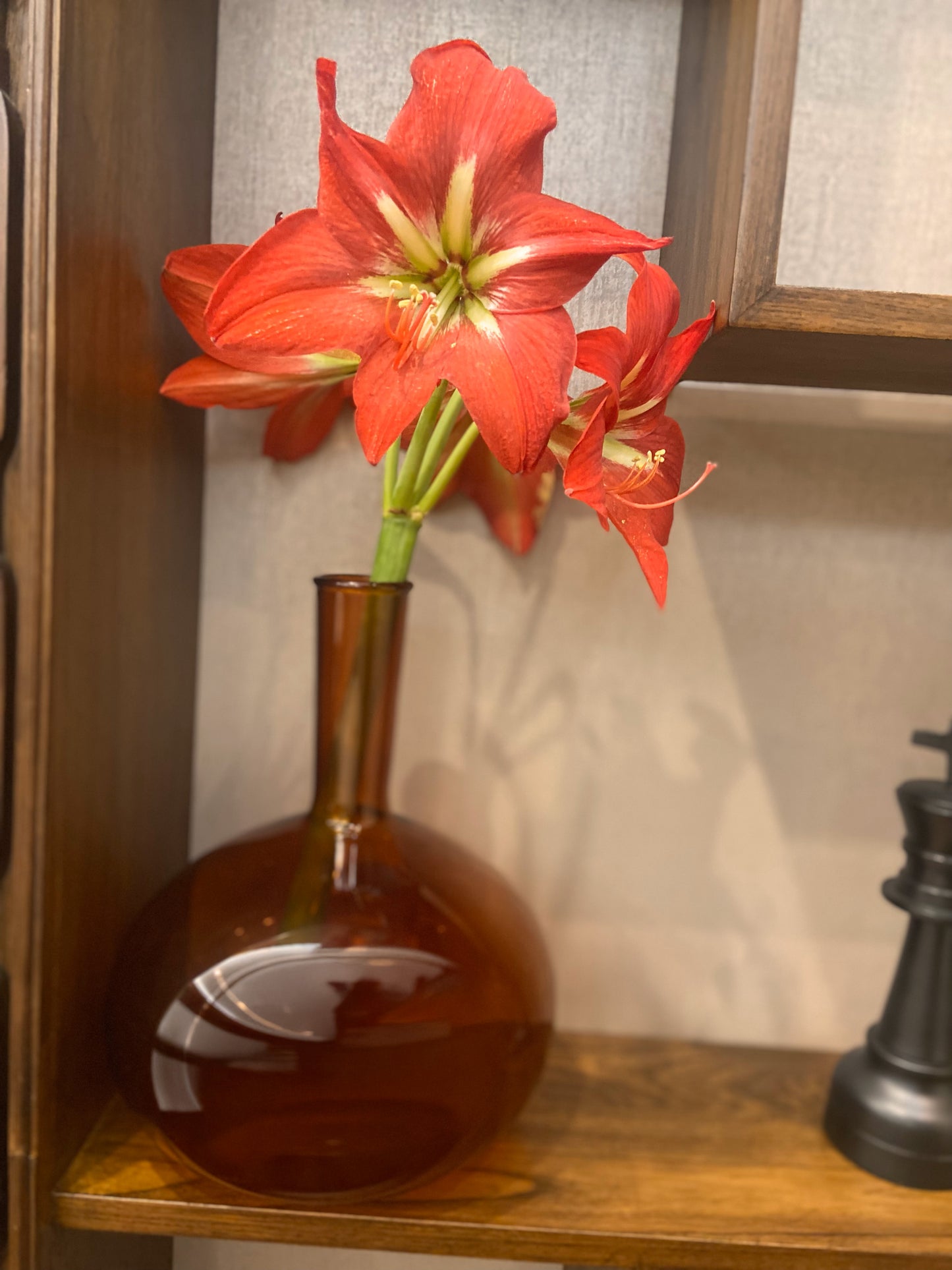 Labzio Home Amber Glass Vase - 30cm Tall Decorative Vase for Living Room, 24.5cm Wide Modern Home Decor | Perfect for Dried Flowers, Pampas Grass | Stylish Round Base, Slim Neck Design