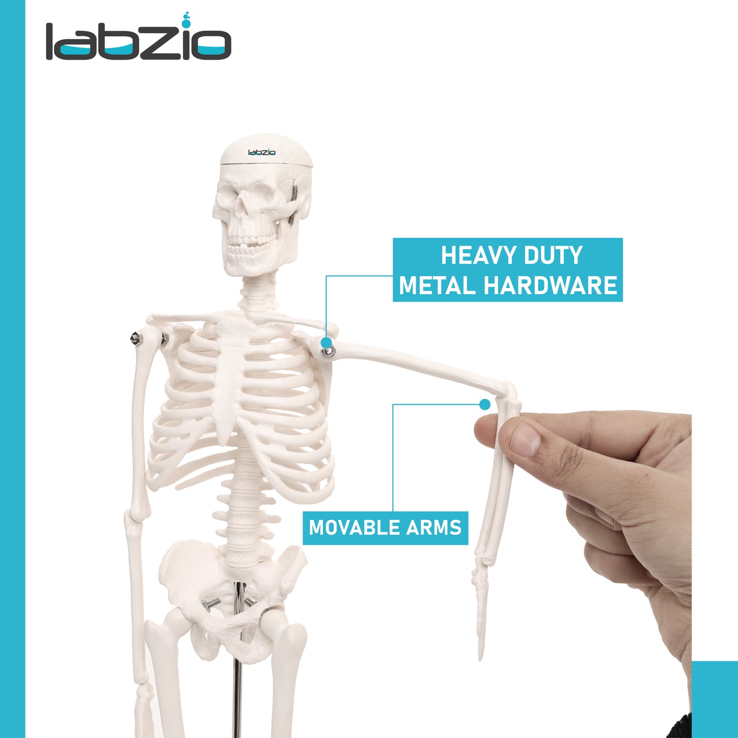 Micro Human Skeleton Model