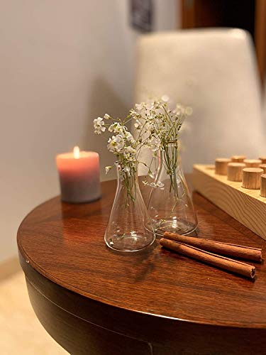 Labzio Home - Elegant Glass Flower vase/Shot flasks for Homes,Offices,cafes,etc, 50ml Each Pack of 4