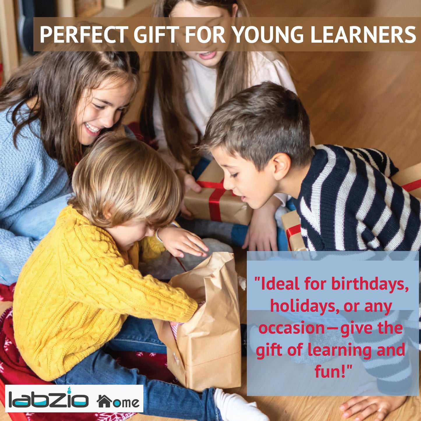 Labzio -Wooden Toy/Puzzle for Learning with Sorting and Stacking Geometrical Shapes and Colours for Children in a Fun Way.