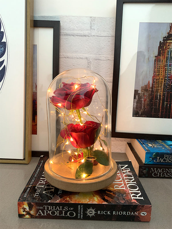 LABZIO Decorative Clear Borosilicate Glass Bell Jar with Round Lacquered Wood Base and Wooden Feet, Elegant Tabletop Display Case for Home Decor, Centerpiece, Office, Living Room, Unique Glass Jar Display