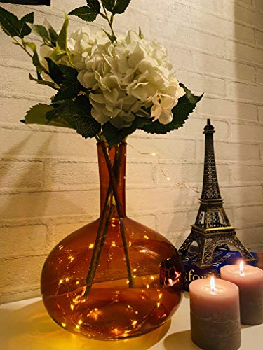 Labzio Home Amber Glass Vase - 30cm Tall Decorative Vase for Living Room, 24.5cm Wide Modern Home Decor | Perfect for Dried Flowers, Pampas Grass | Stylish Round Base, Slim Neck Design