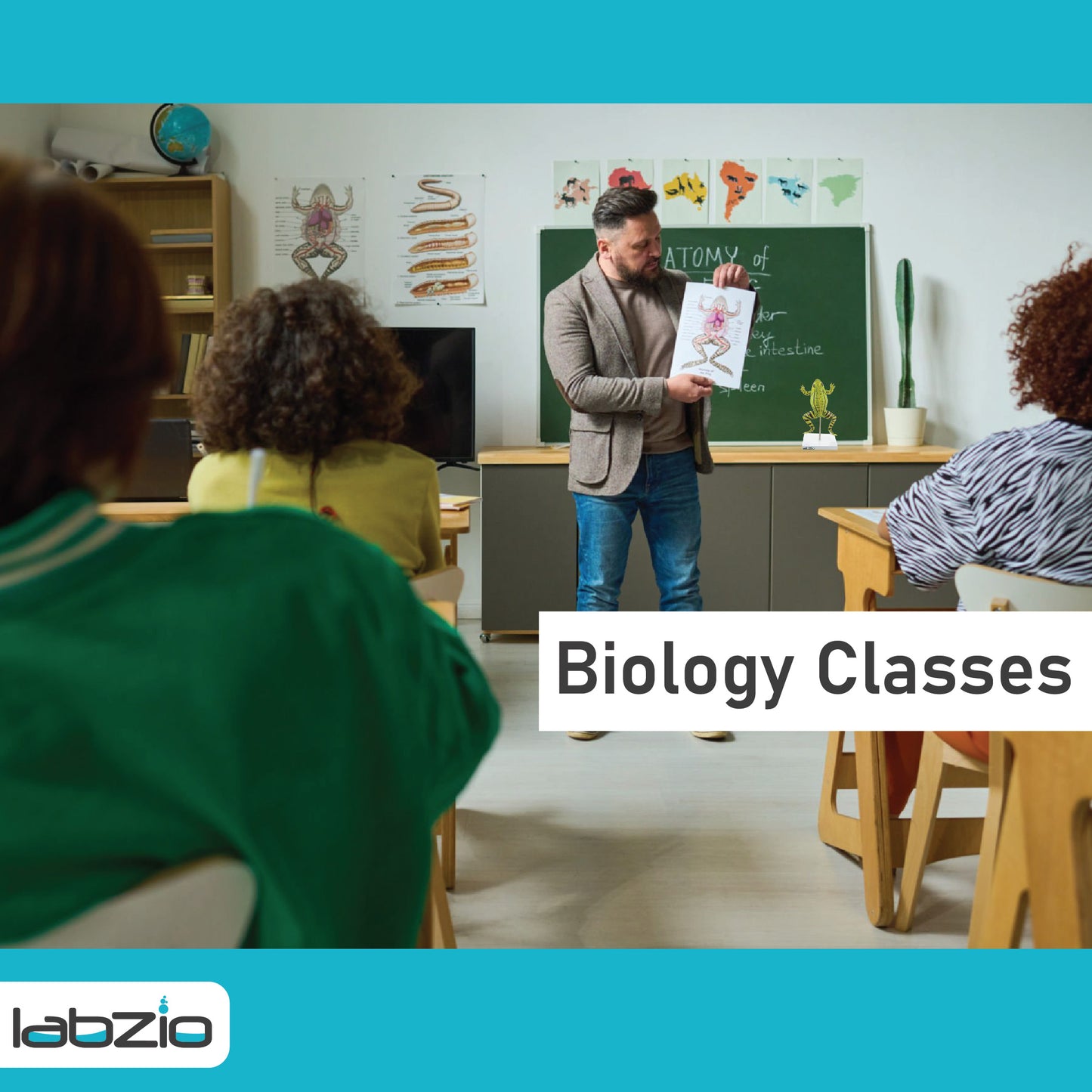 LABZIO Plastic Frog Dissection Model - 5 Parts, Enlarged 3X with Detailed Study Guide - Educational Kit for Biology and Anatomy,green