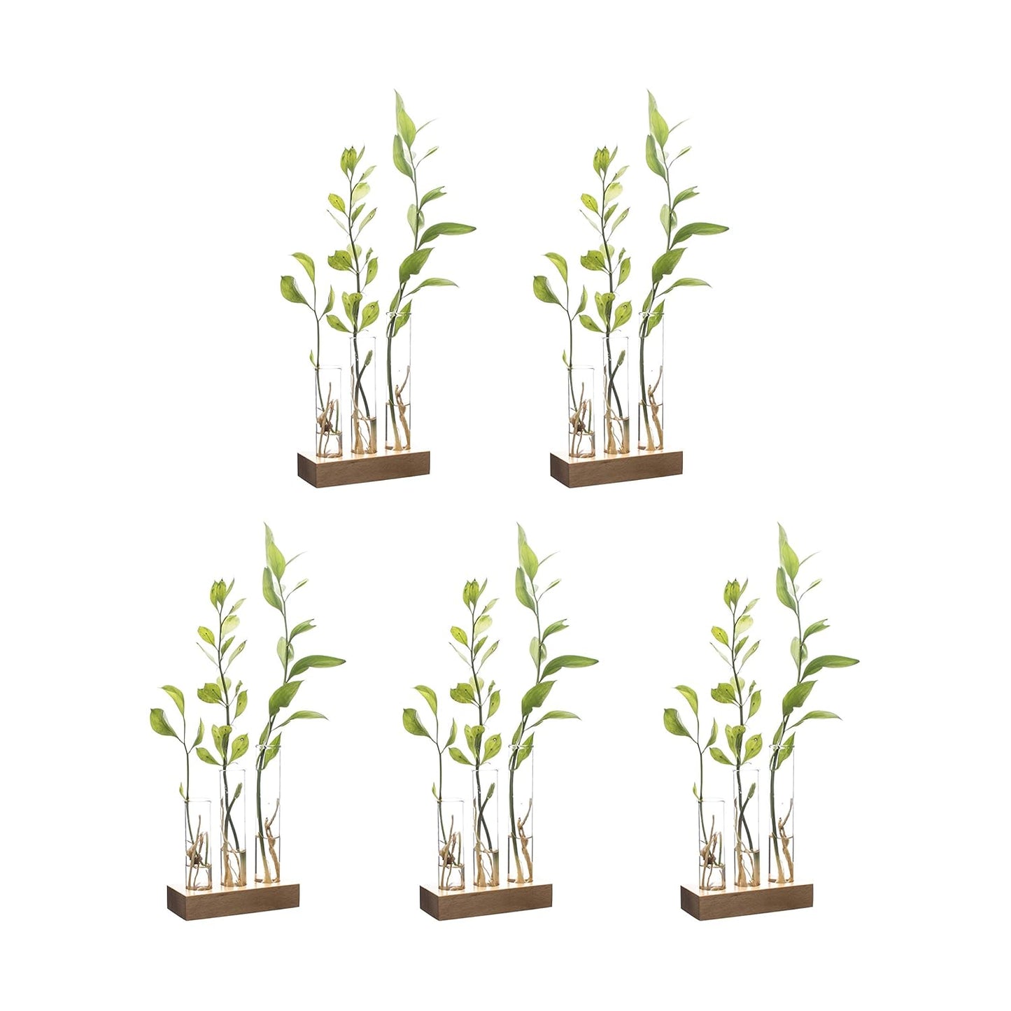 Labzio Home - Flower Vase with 3 Hand Blown Borosilicate glass test tubes in a Small Rectangle Wooden Block Stand