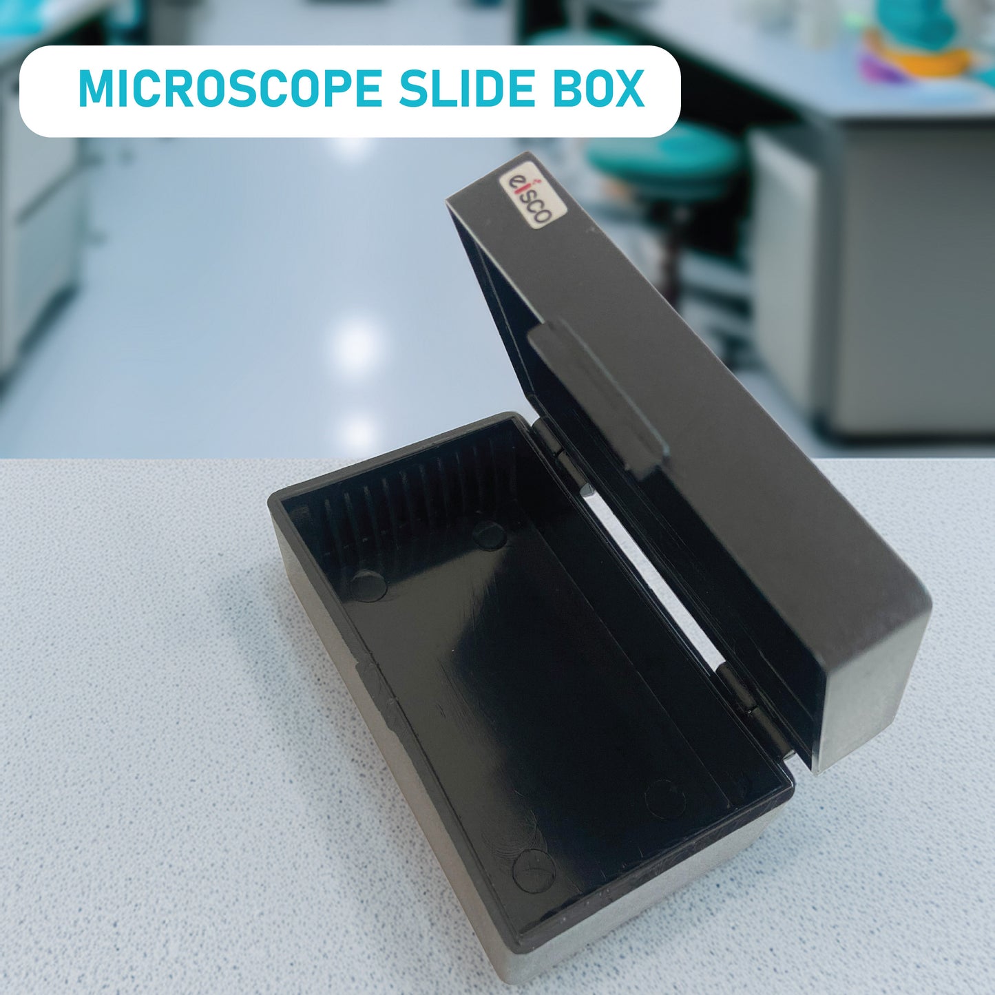 EISCO Microscope Slide Box – 10 Slot Compact Storage Case | Durable Polystyrene, Dustproof, Secure Holder | Lab Slide Organizer for School, Medical, Biology, Chemistry & Science Research