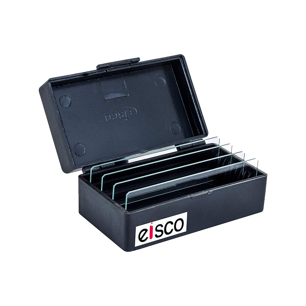 EISCO Microscope Slide Box – 10 Slot Compact Storage Case | Durable Polystyrene, Dustproof, Secure Holder | Lab Slide Organizer for School, Medical, Biology, Chemistry & Science Research