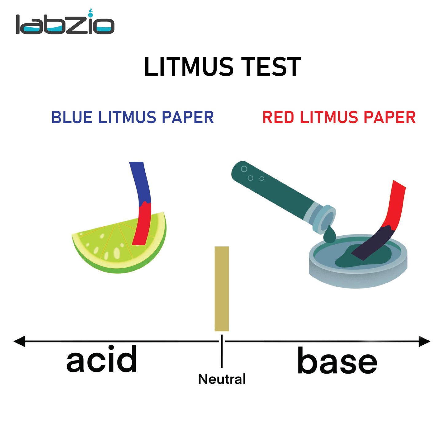 EISCO Blue Litmus Test Strips – 200 pH Test Strips for Acid Testing | Fast & Accurate pH Indicator Paper for Science Lab, Classroom, Water Testing, Chemistry Experiments, Pool, Skincare & Home Use