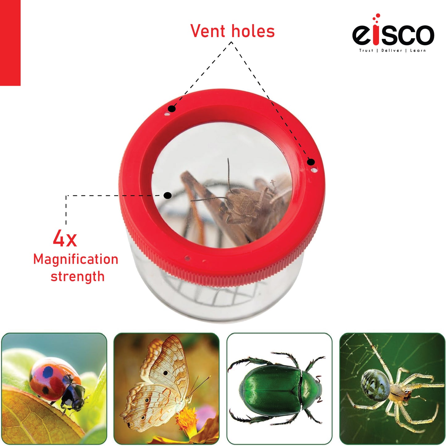 Eisco Bug Viewer Magnifier for Kids (Pack of 4) Insect Catcher Toy with Magnifying Lens, STEM Science Kit for Outdoor Exploration, Nature Discovery, Learning, Entomology & Camping Fun