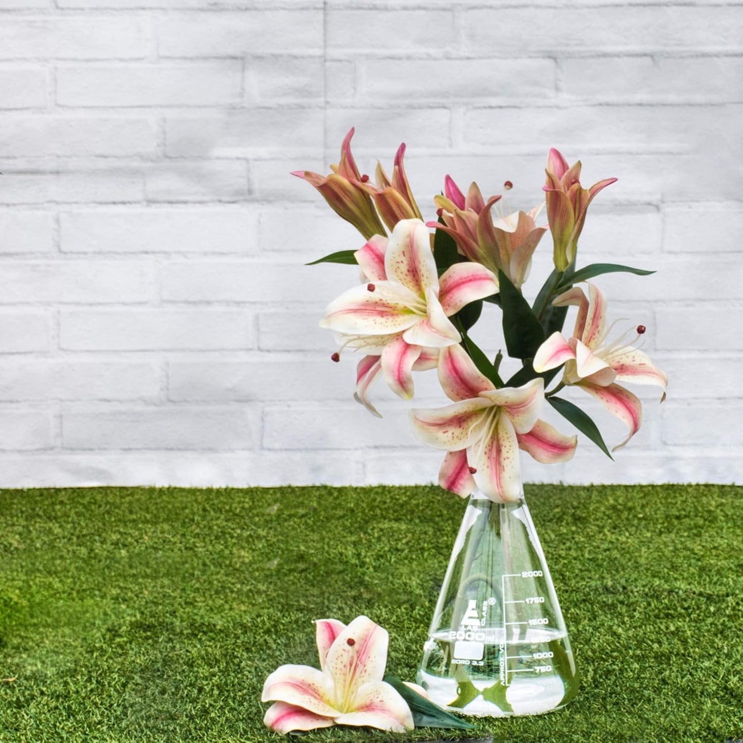 2000ml Erlenmeyer Conical Flask, Narrow Neck, Graduated Borosilicate Glass 3.3 Lab Glassware