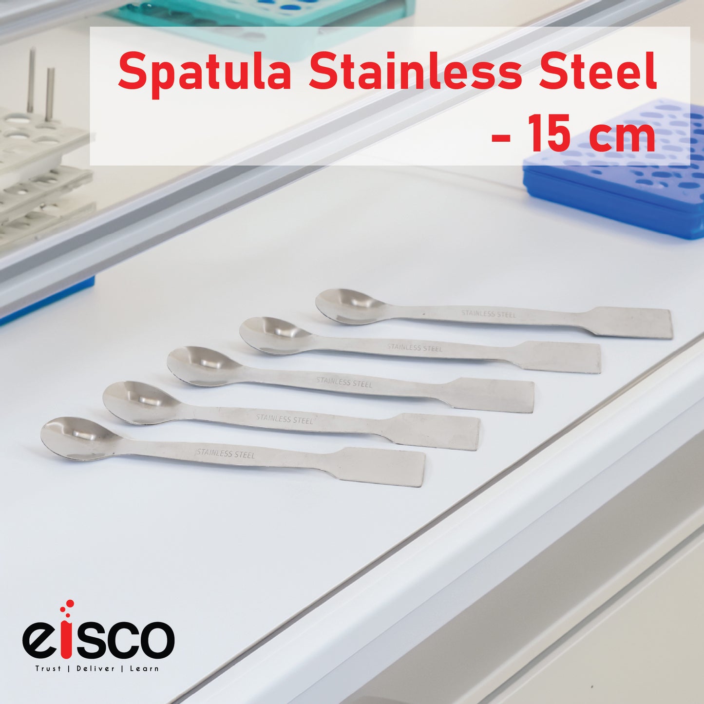 Eisco Stainless Steel Lab Spatula – 15cm, Dual-End Spoon & Flat Blade, Multipurpose Tool for Science Labs, Kitchen, Powder Mixing, Art, Resin, Crafting & Epoxy Work (Pack of 5)