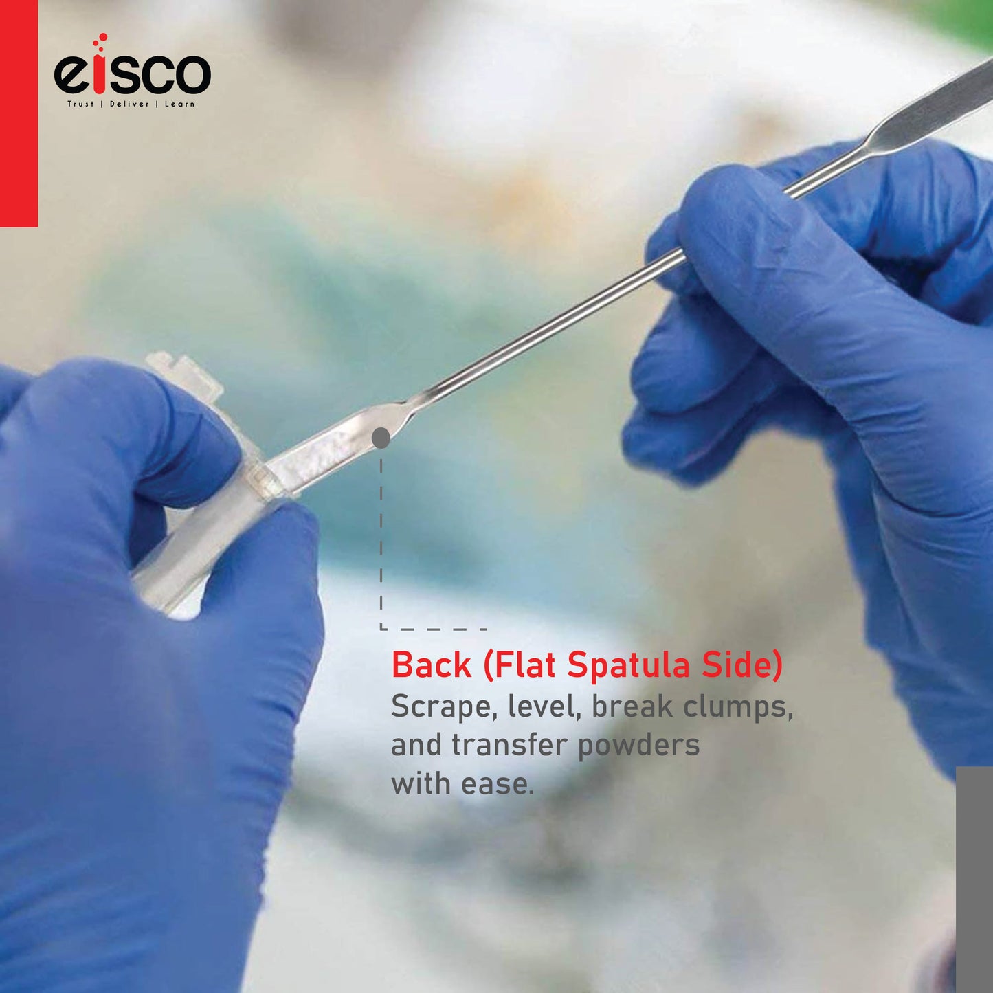EISCO Set of 5 Micro Spatula – Stainless Steel, Double-Ended Scoop & Flat End, 15cm, Precision Lab Tool for Chemistry, Science Experiments, Powders, Epoxy, DIY Crafts, Jewelry Making & Sample Handling