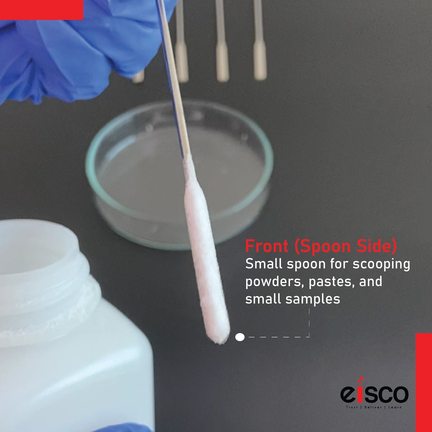 EISCO Set of 5 Micro Spatula – Stainless Steel, Double-Ended Scoop & Flat End, 15cm, Precision Lab Tool for Chemistry, Science Experiments, Powders, Epoxy, DIY Crafts, Jewelry Making & Sample Handling
