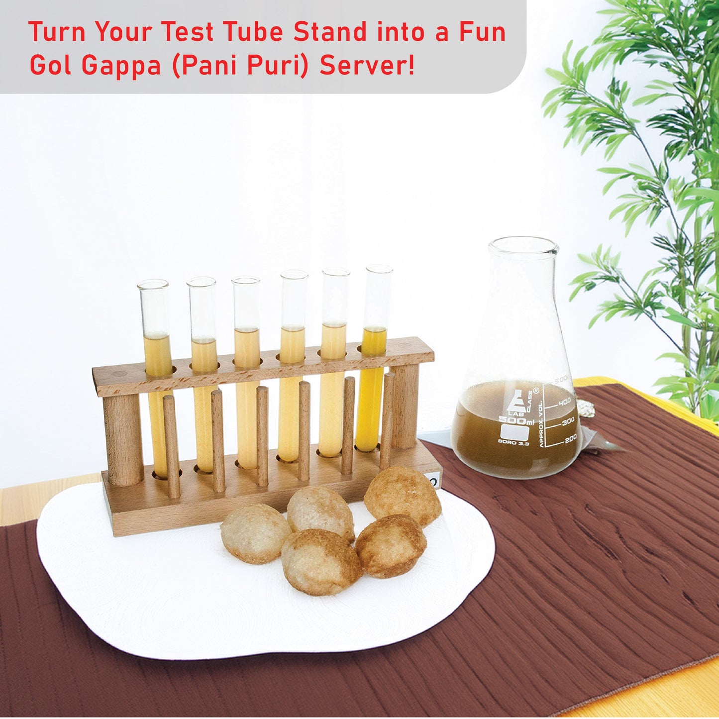EISCO Premium Wooden Test Tube Rack with Drying Pins | Holds 6 Tubes (Up to 18mm Dia) | Includes 6 x 25ml Tubes | Polished & Durable Stand for Lab & Home Use | Combo Pack for Science Experiments