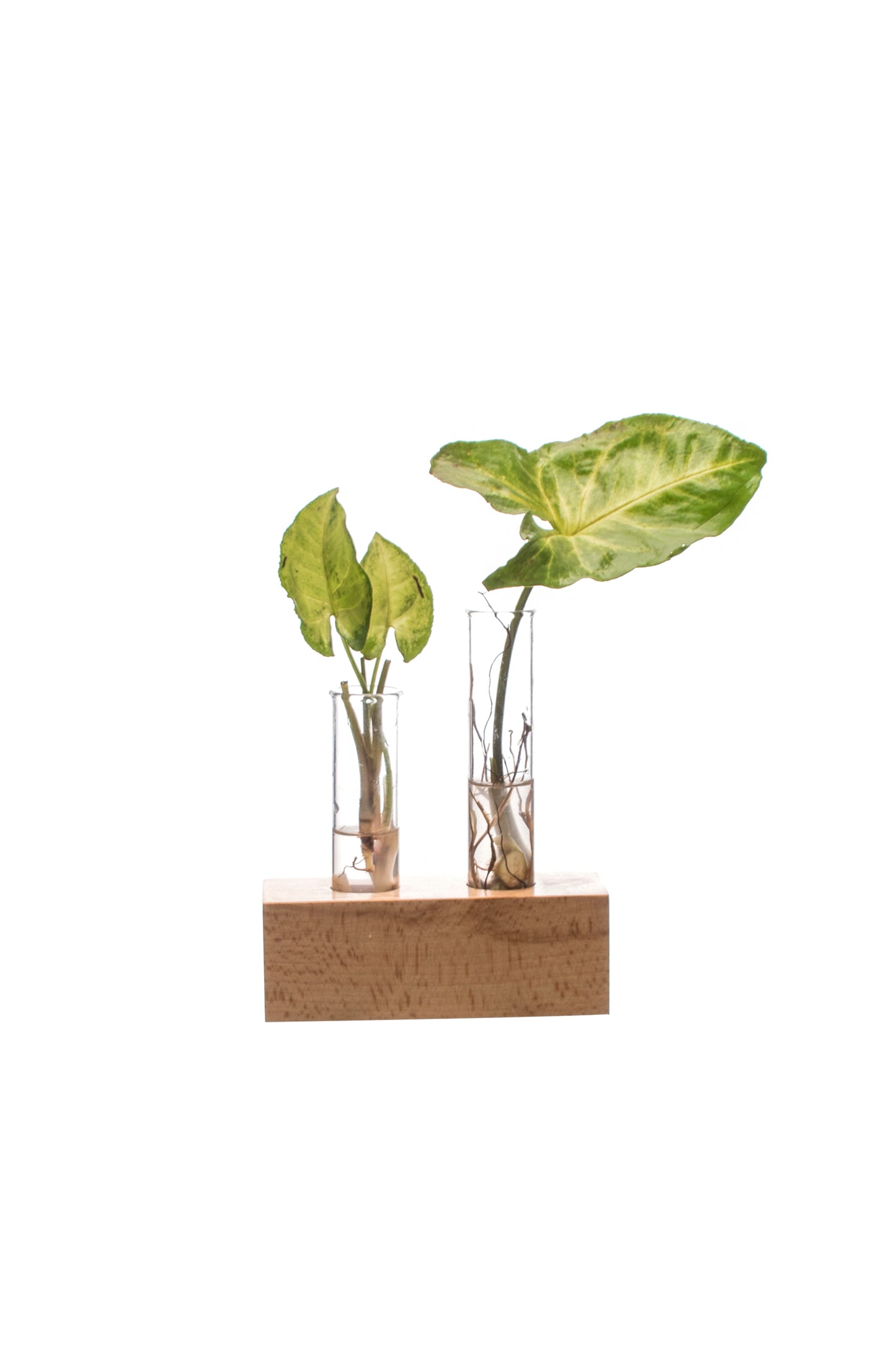 Labzio Home - Flower Vase with 2 Hand Blown Borosilicate Glass Test Tubes in a Rectangle Wooden Block Stand