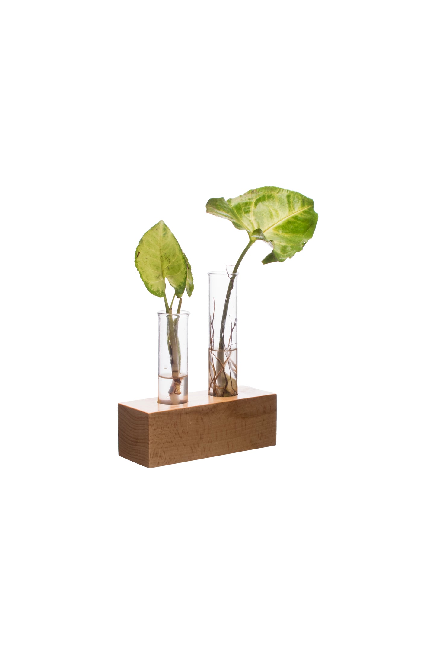 Labzio Home - Flower Vase with 2 Hand Blown Borosilicate Glass Test Tubes in a Rectangle Wooden Block Stand