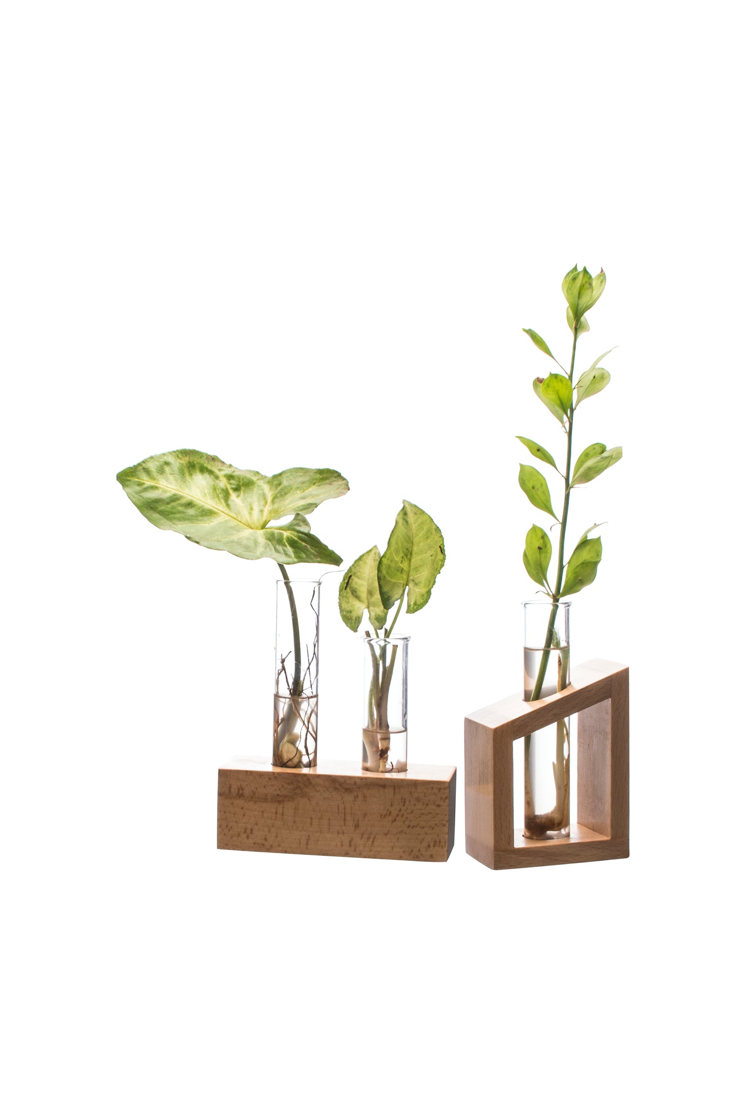 Labzio Home - Flower Vase with 2 Hand Blown Borosilicate Glass Test Tubes in a Rectangle Wooden Block Stand