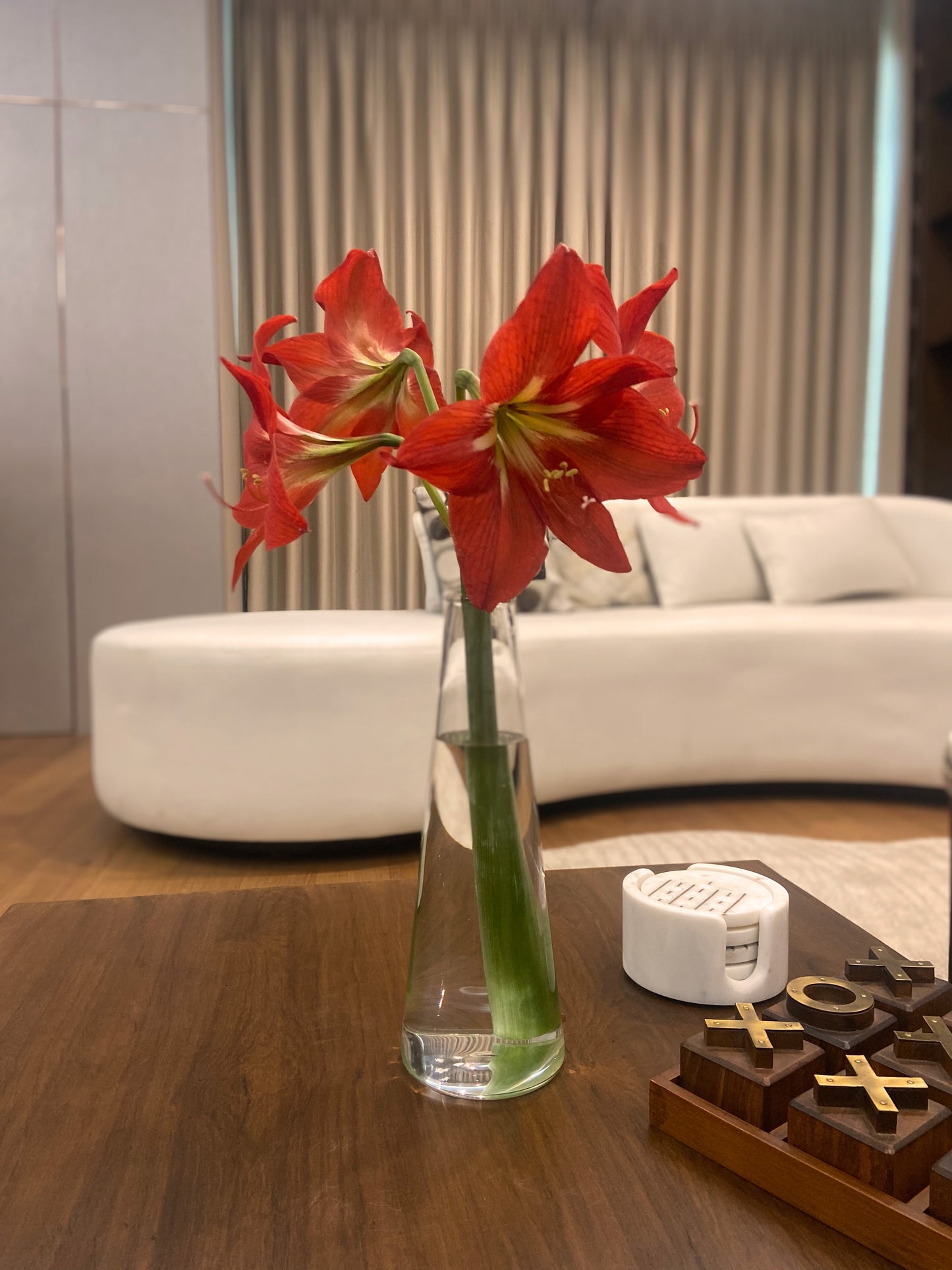 Labzio Home Glass Vase for Flowers & Plants (Transparent, 30 cm X 10 cm) - Living Room Glass Vase Pot for Water Plants Home Decor Dining Table Decoration Bedroom Hall Aesthetic House Warming Gift