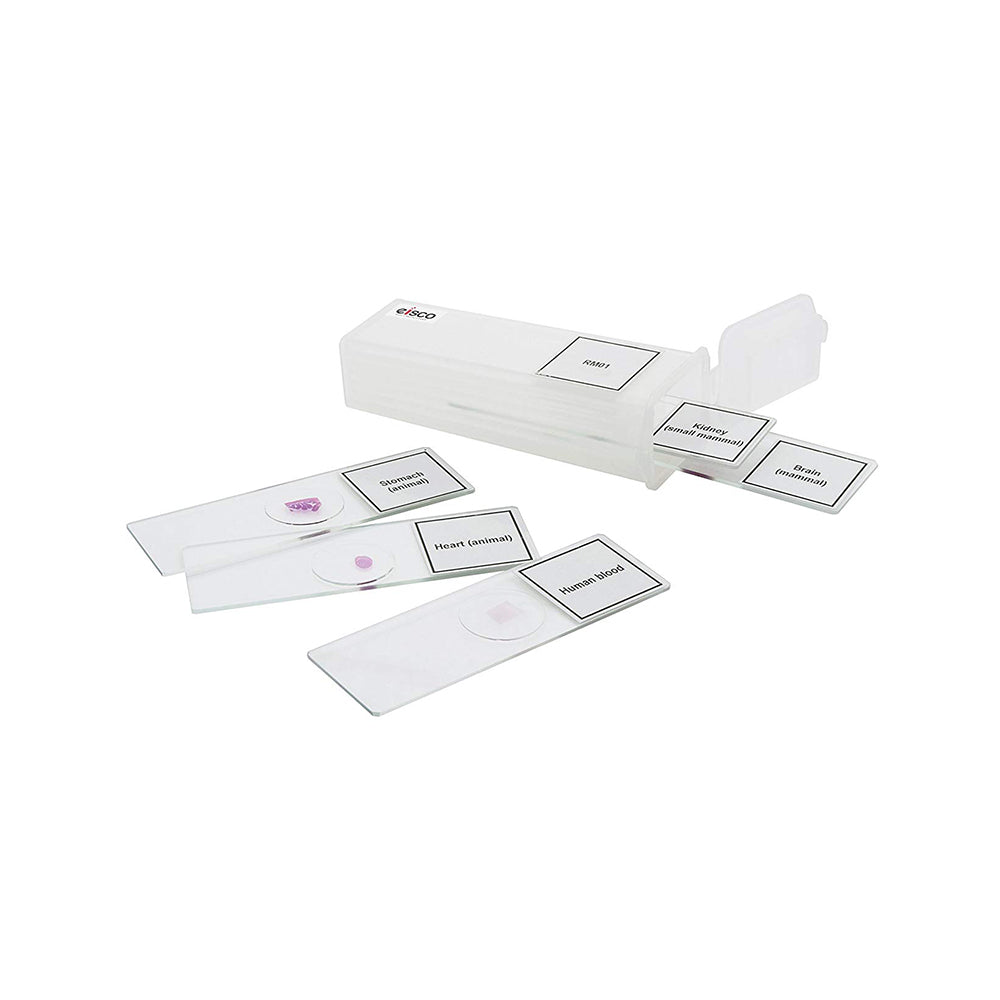 Premium Microscope Prepared Slides To Observe Various Specimen, Set Of 5 Slides, Comes In A Plastic Case