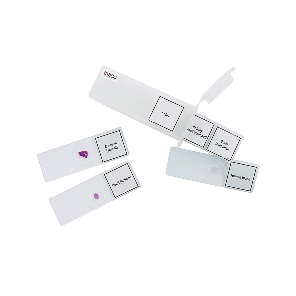 Premium Microscope Prepared Slides To Observe Various Specimen, Set Of 5 Slides, Comes In A Plastic Case