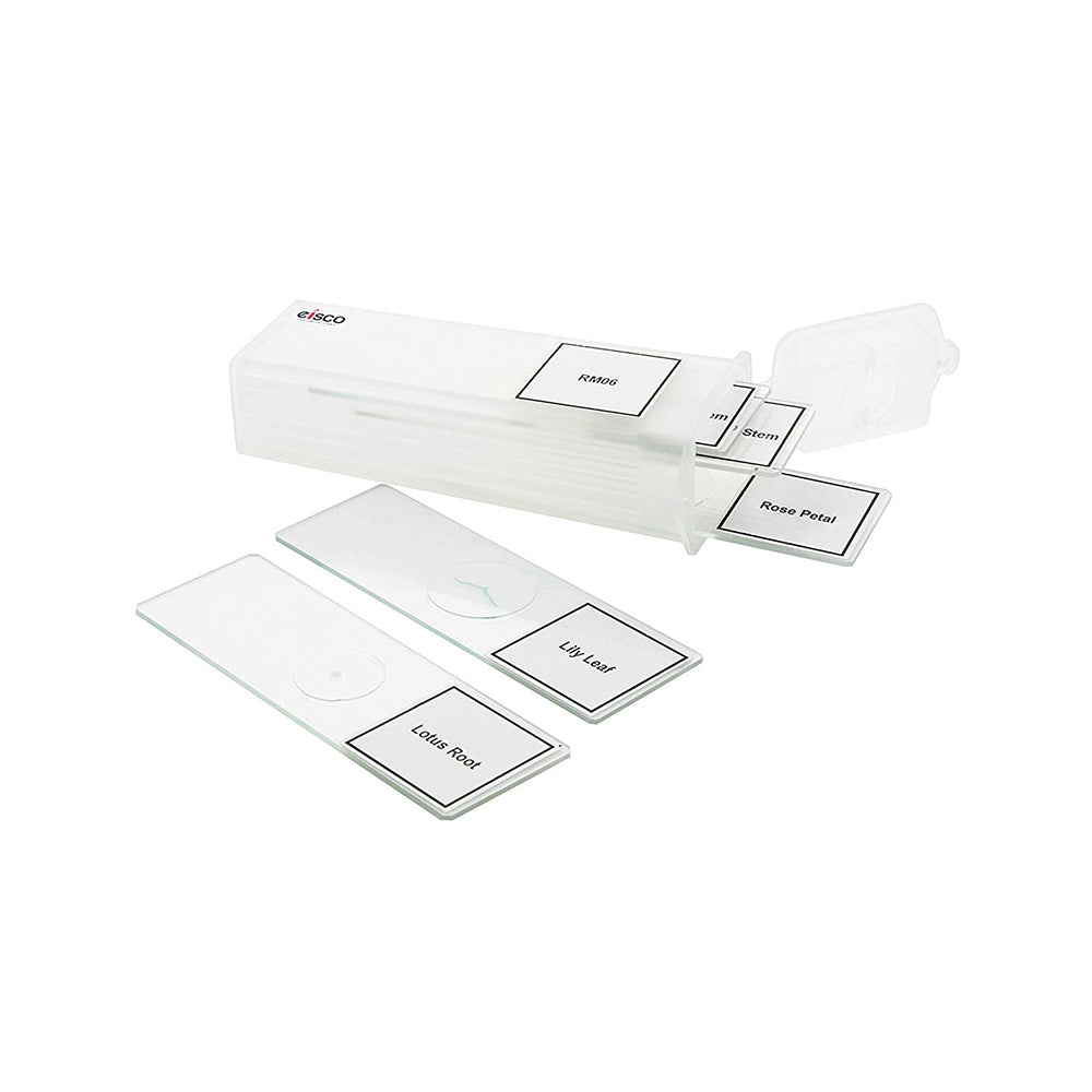 Premium Microscope Prepared Slides To Observe Various Botanical Specimen, Set Of 5 Slides, Comes In A Plastic Case