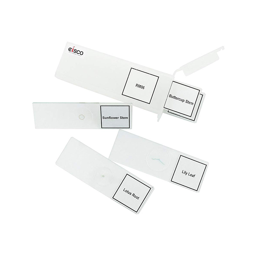 Premium Microscope Prepared Slides To Observe Various Botanical Specimen, Set Of 5 Slides, Comes In A Plastic Case