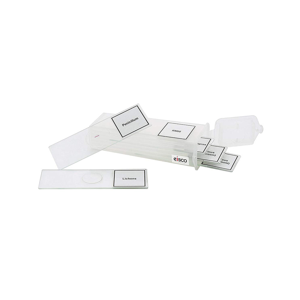 Labzio - Premium Microscope Prepared Slides To Observe Various Specimen, Set Of 5 Slides, Comes In A Plastic Case