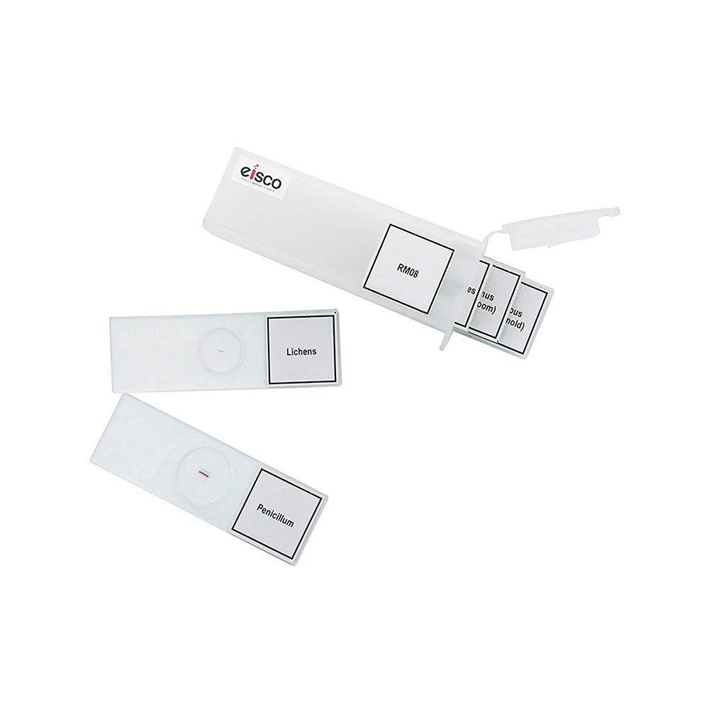 Labzio - Premium Microscope Prepared Slides To Observe Various Specimen, Set Of 5 Slides, Comes In A Plastic Case