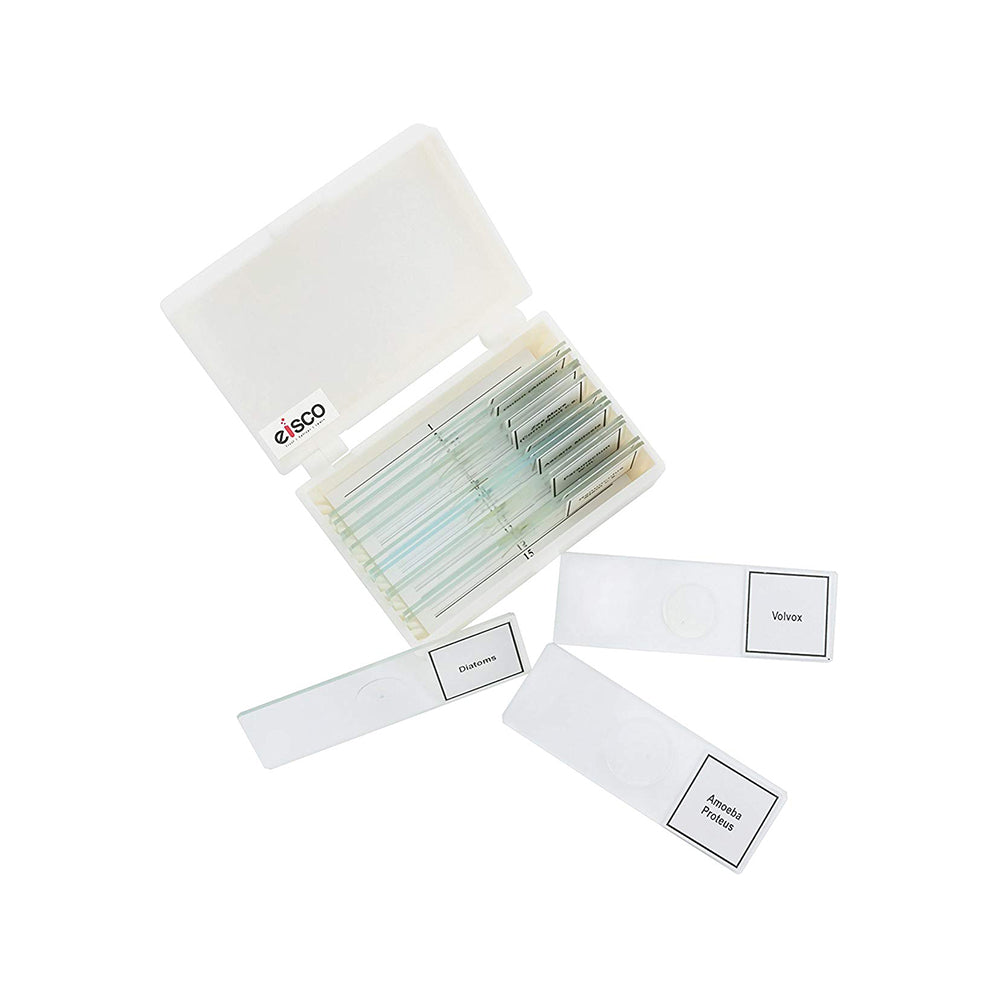 Premium Microscope Prepared Slides To Observe Various Specimen, Set Of 15 Slides, Comes In A Plastic Case