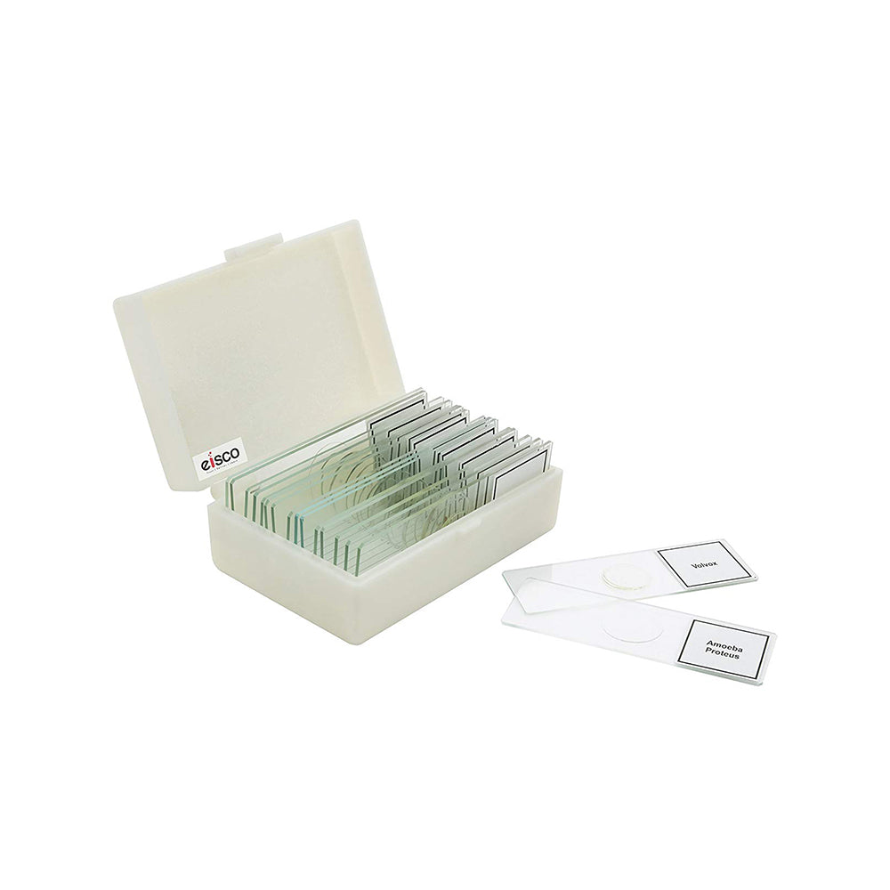Premium Microscope Prepared Slides To Observe Various Specimen, Set Of 15 Slides, Comes In A Plastic Case