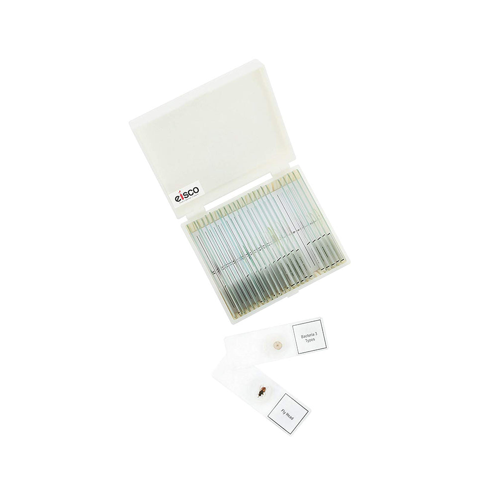 Labzio - Premium Microscope Prepared Slides to Observe Various Specimen, Set of 25 Slides, Comes in A Plastic Case
