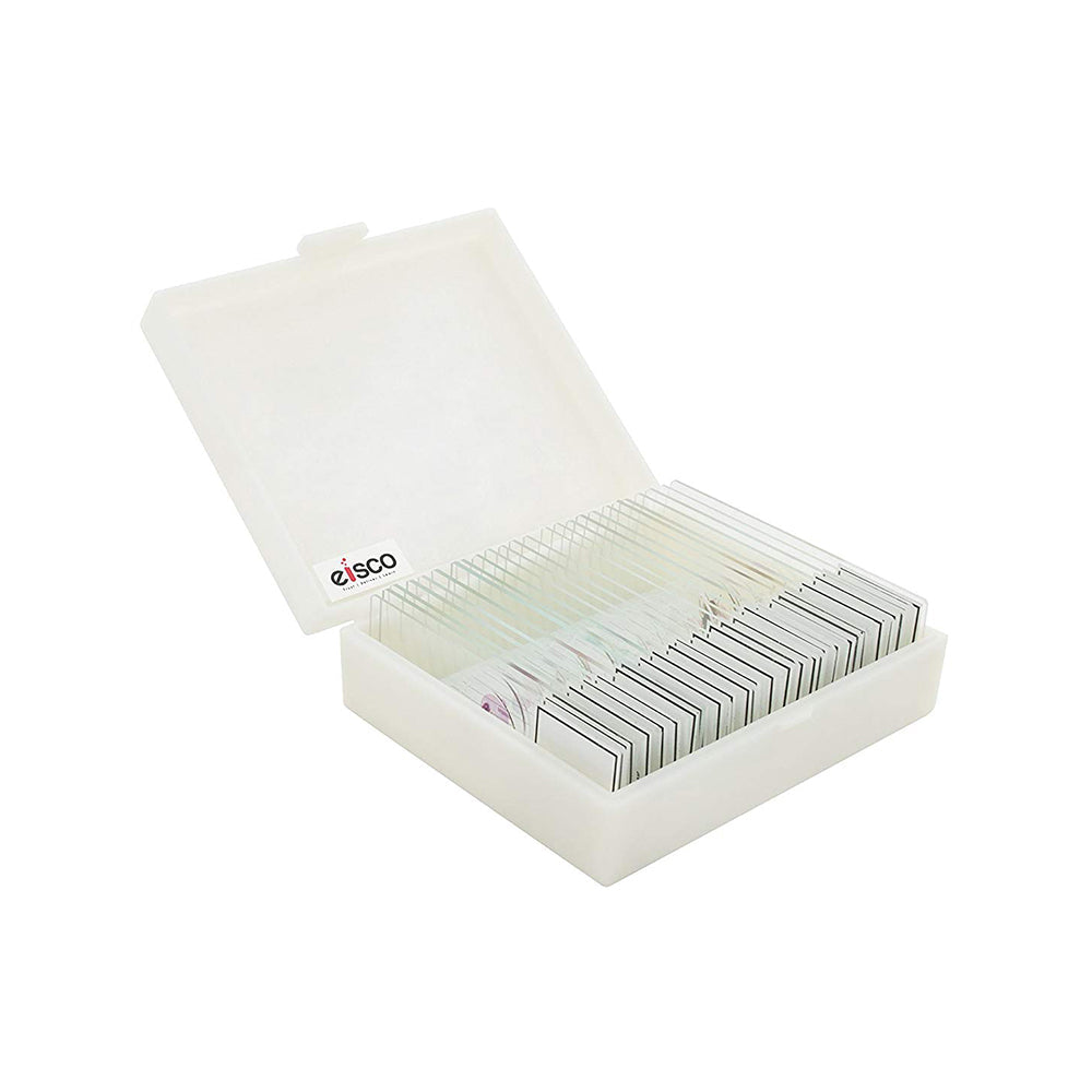 Labzio - Premium Microscope Prepared Slides to Observe Various Specimen, Set of 25 Slides, Comes in A Plastic Case
