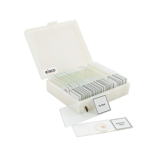 Labzio - Premium Microscope Prepared Slides to Observe Various Specimen, Set of 25 Slides, Comes in A Plastic Case