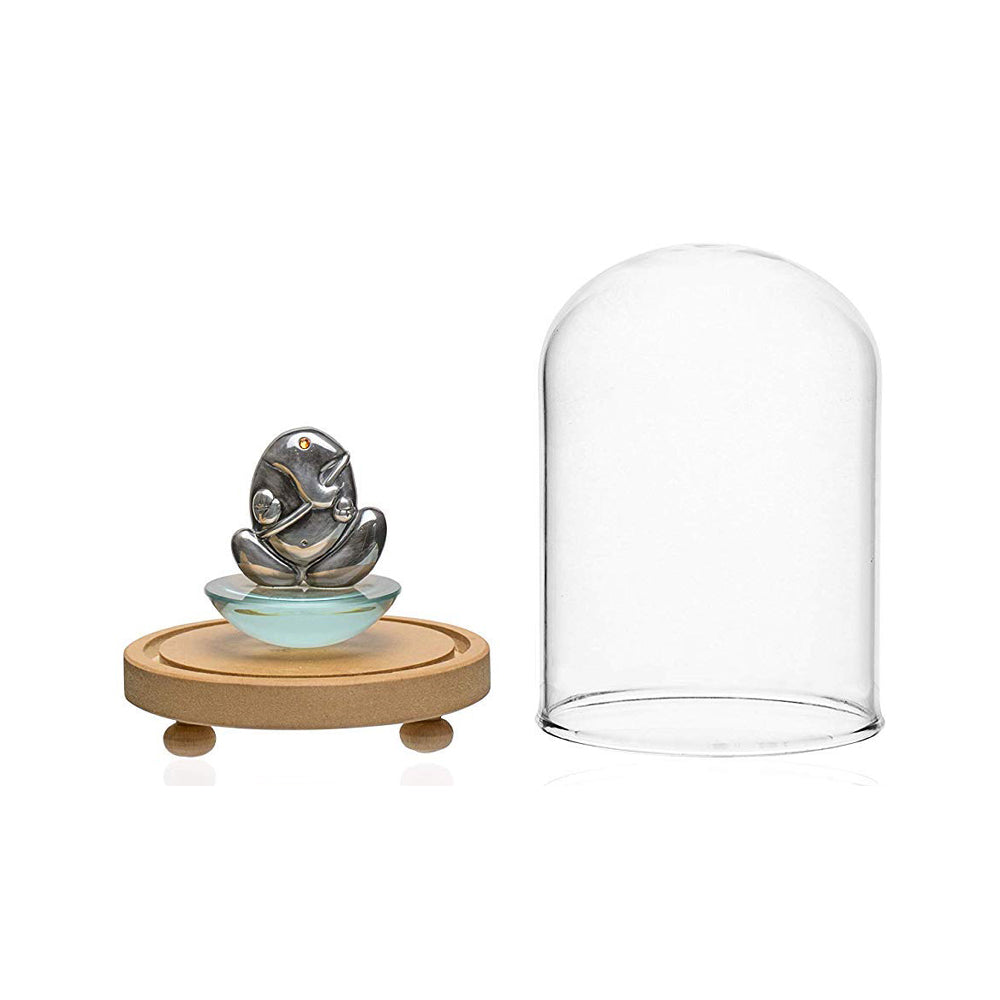 LABZIO Decorative Clear Borosilicate Glass Bell Jar with Round Lacquered Wood Base and Wooden Feet, Elegant Tabletop Display Case for Home Decor, Centerpiece, Office, Living Room, Unique Glass Jar Display