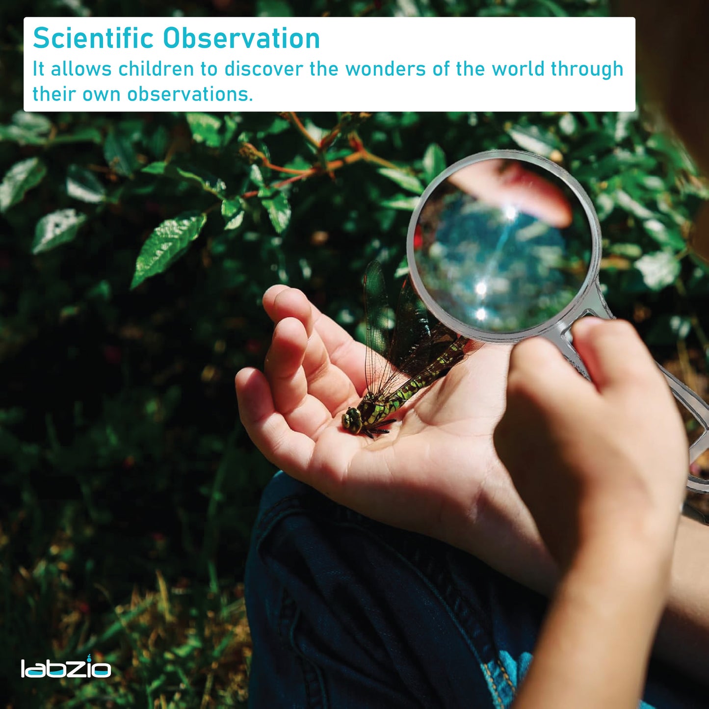 Labzio - Premium magnifying lens with handle, lab quality, Diameter - 50 mm, Magnification - 3X, 6X, acrylic lens and body makes it suitable for Children
