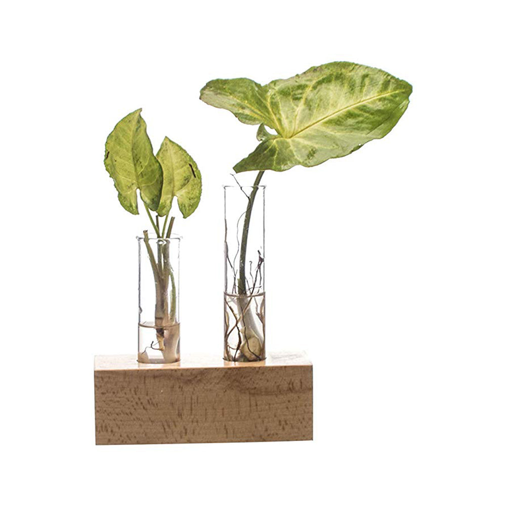 Labzio Home - Flower Vase with 2 Hand Blown Borosilicate Glass Test Tubes in a Rectangle Wooden Block Stand