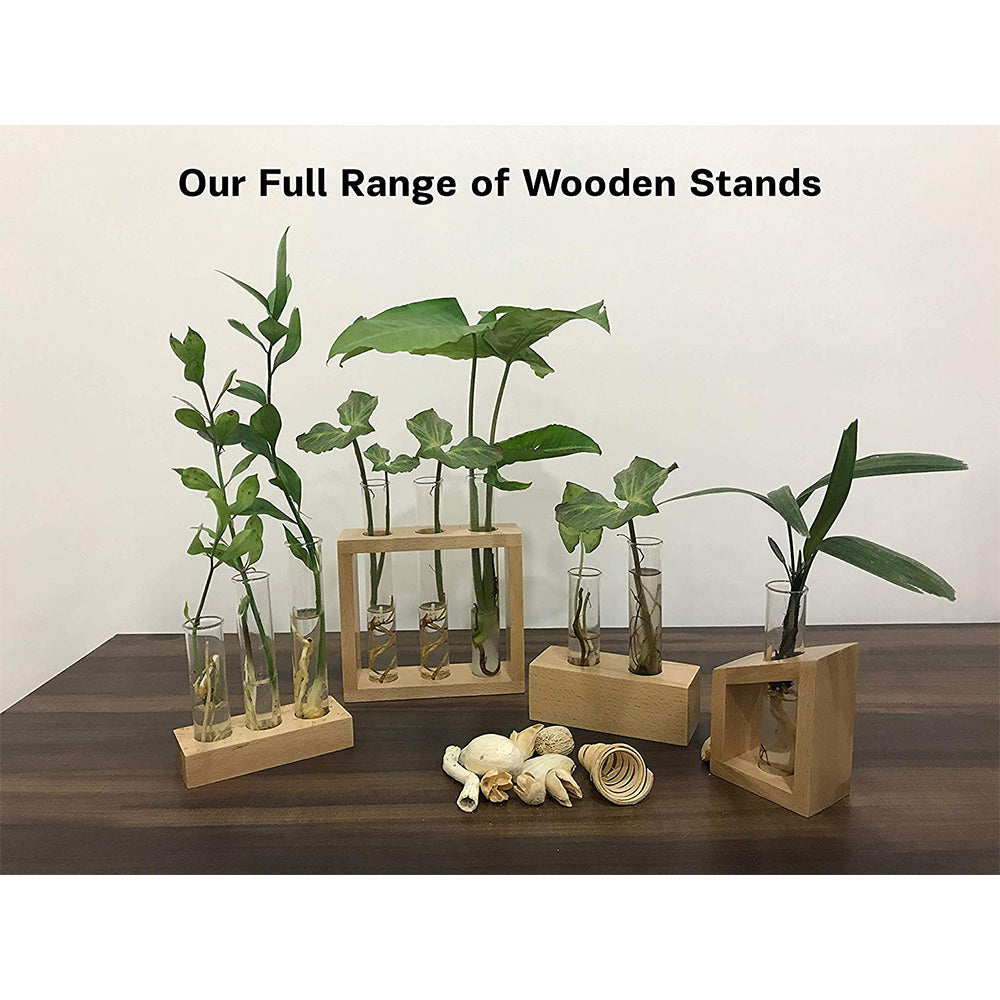 Labzio Home - Flower Vase in a Artistic Wooden Stand with 3.3 borosilicate glass tube, Pack of 1