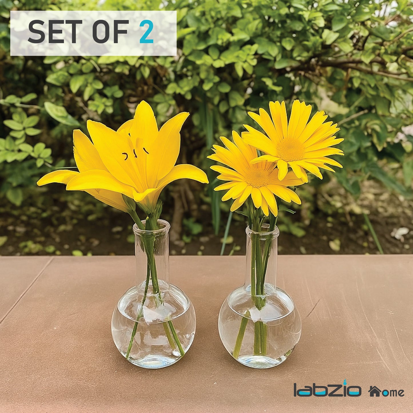 Labzio Home - Boiling Flask Glass Flower vase, Set of 2