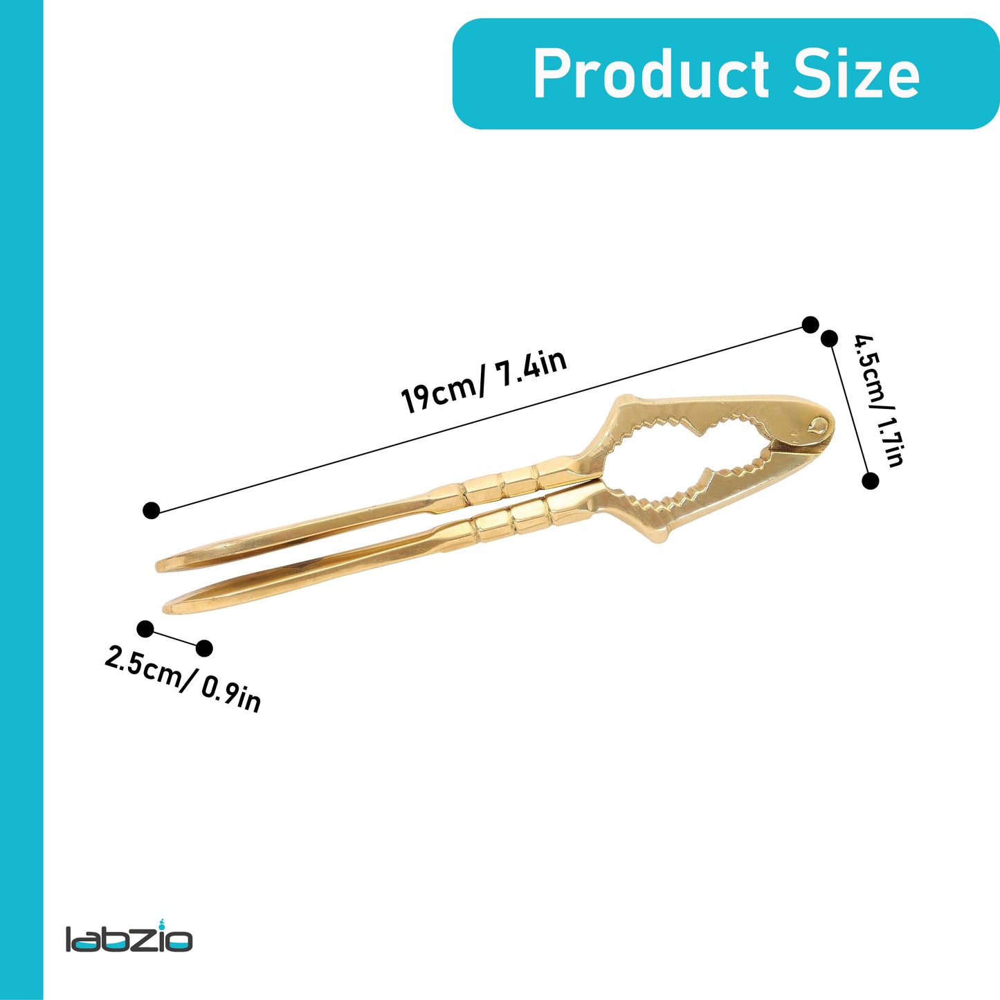LABZIO Premium Brass Nut Cracker | Heavy Duty Nutcracker Tool for Almonds, Walnuts, Pistachios | Strong & Easy to Use Nut Cracking Kitchen Tool