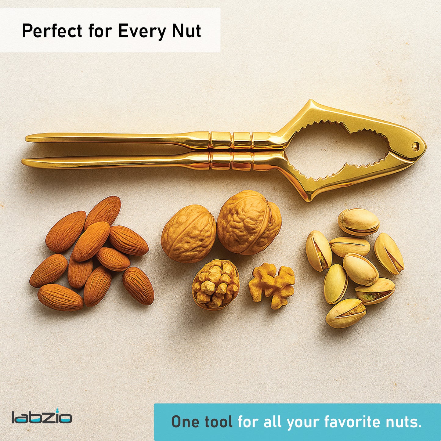 LABZIO Premium Brass Nut Cracker | Heavy Duty Nutcracker Tool for Almonds, Walnuts, Pistachios | Strong & Easy to Use Nut Cracking Kitchen Tool