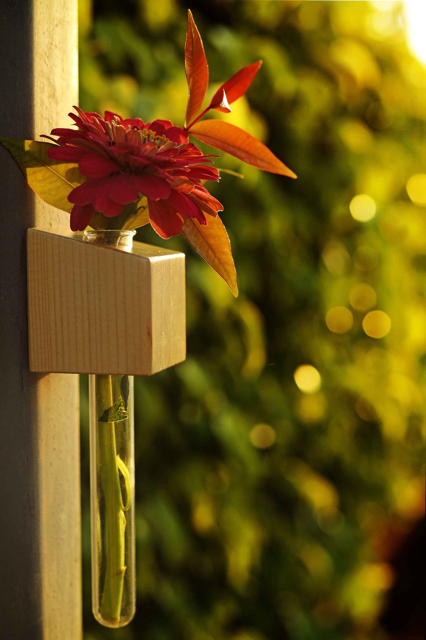 Labzio Magnetic Cube Flower Vase for Fridge Door & Metal Surfaces | Modern Wall Mounted Decorative Planter with Strong Magnet | Mini Glass Tube Vase for Home & Office Decor – Beige