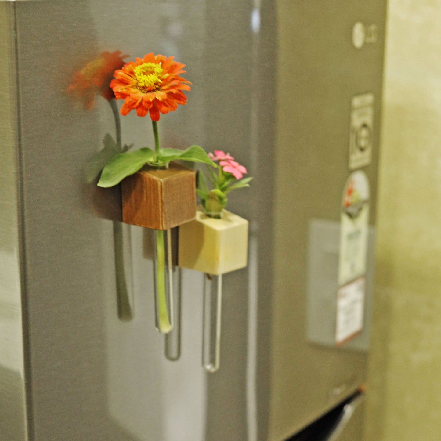 Labzio Magnetic Cube Flower Vase for Fridge Door & Metal Surfaces | Modern Wall Mounted Decorative Planter with Strong Magnet | Mini Glass Tube Vase for Home & Office Decor – Beige