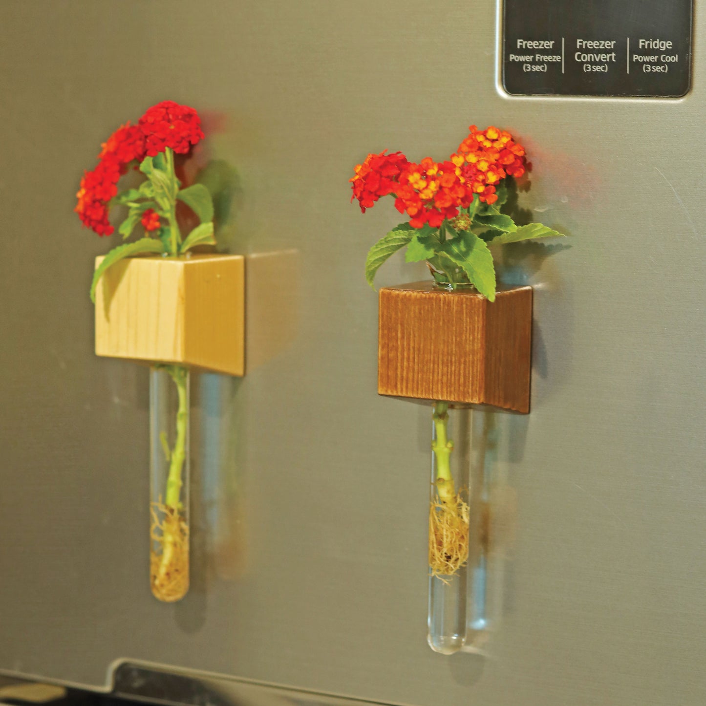 Labzio Magnetic Cube Flower Vase for Fridge Door & Metal Surfaces | Modern Wall Mounted Decorative Planter with Strong Magnet | Mini Glass Tube Vase for Home & Office Decor – Beige