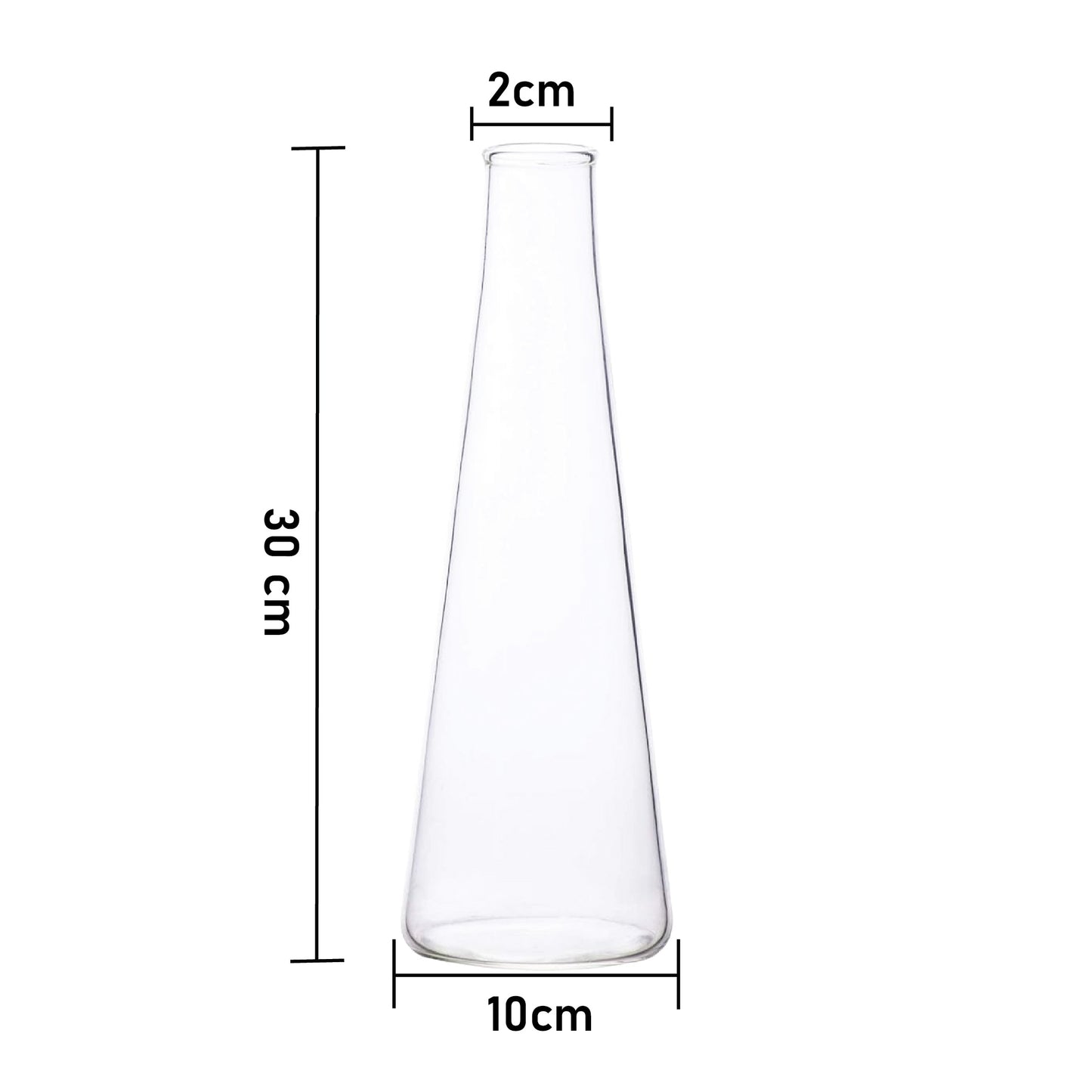 Labzio Home Glass Vase for Flowers & Plants (Transparent, 30 cm X 10 cm) - Living Room Glass Vase Pot for Water Plants Home Decor Dining Table Decoration Bedroom Hall Aesthetic House Warming Gift