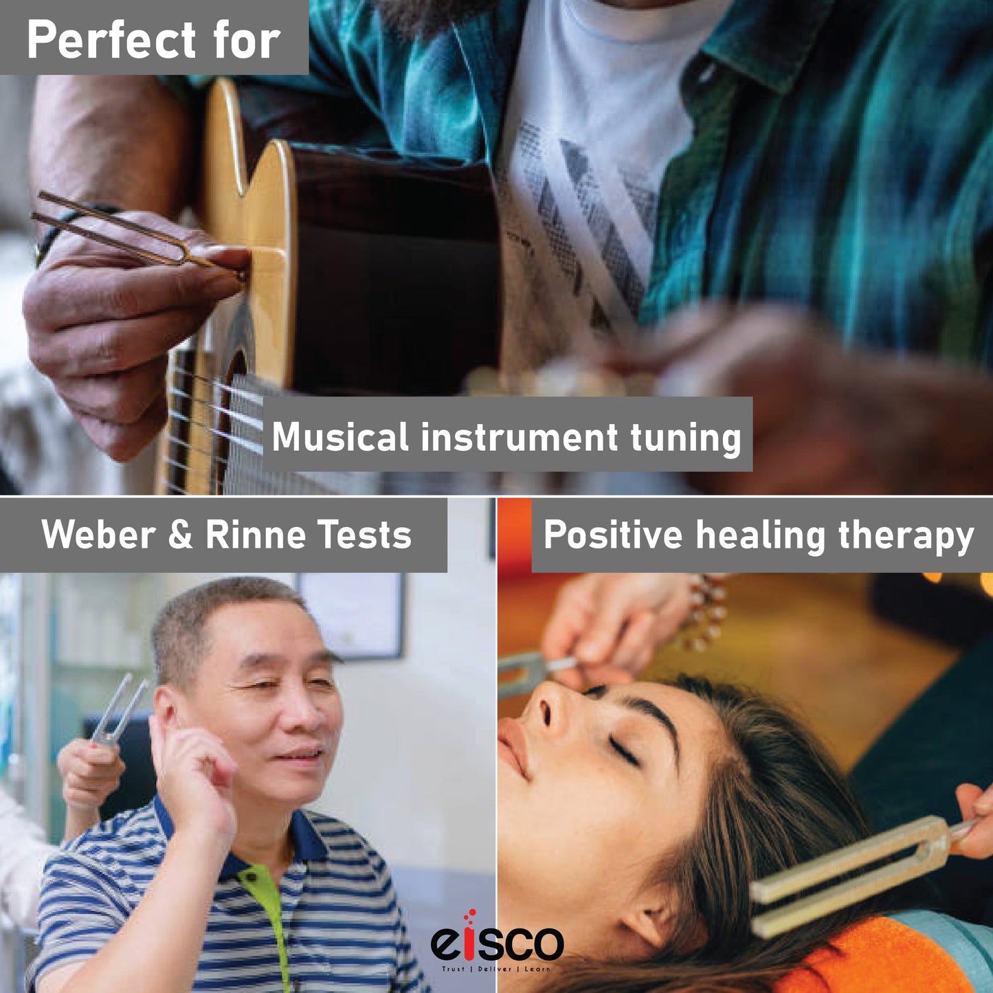 Eisco 480Hz Tuning Fork – Chrome-Plated Steel, Rust-Resistant, Precision Sound Therapy Tool for Healing, Medical Use, Physics Labs, Science Classrooms, Students, and Home Testing