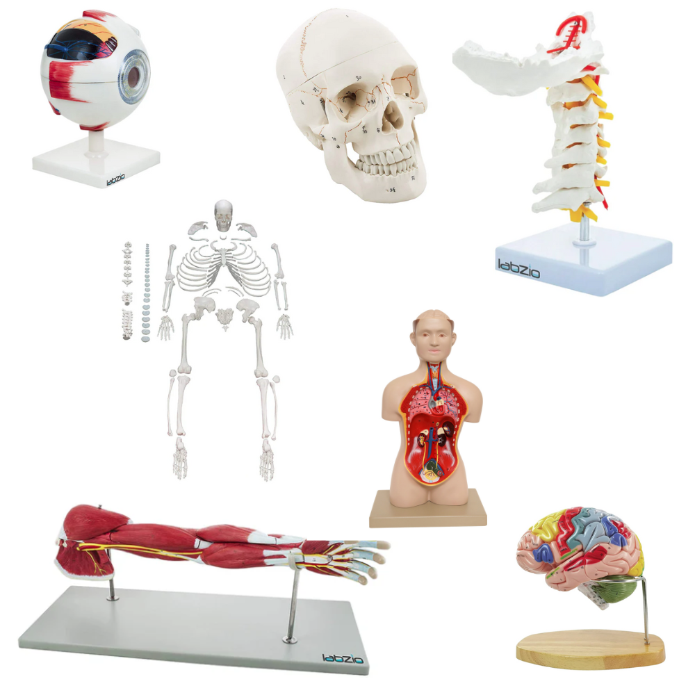 All Science Products – labzio