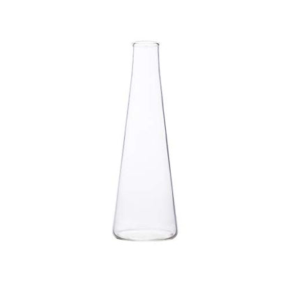 Labzio Home - Tall Slim Borosilicate Glass Flower vase for Table Tops