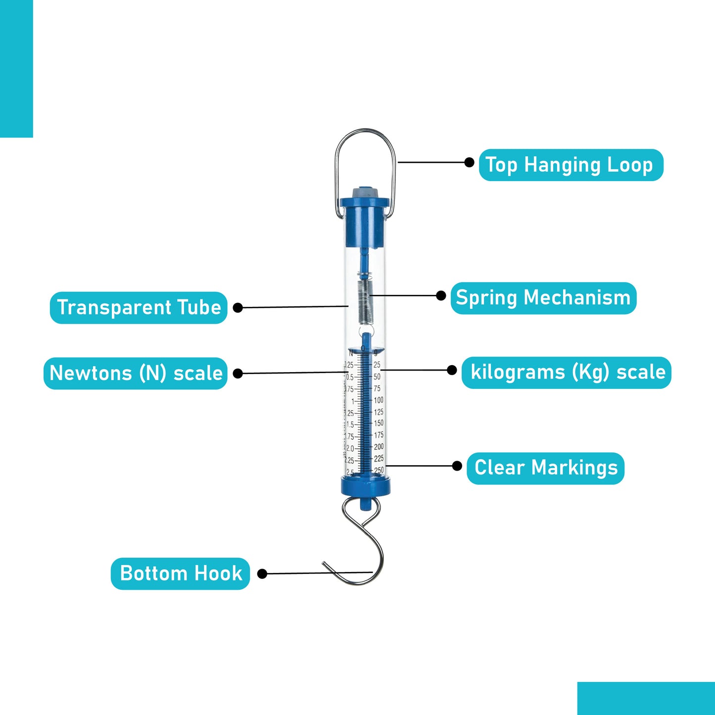 Newton Force Meter / Spring balance / Dynamometer with Dual Scale labelled (250g)